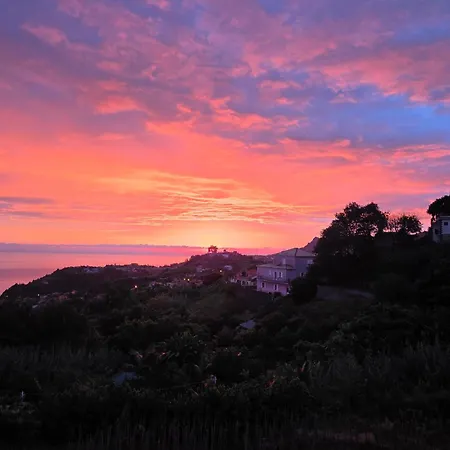 Luci's House B 公寓