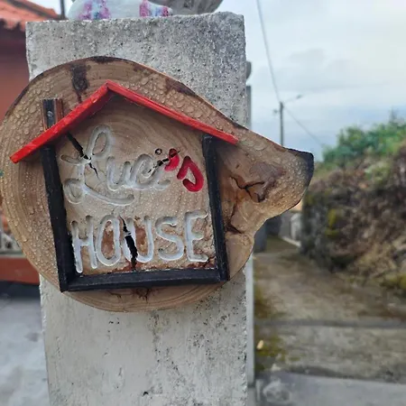 Luci's House B *